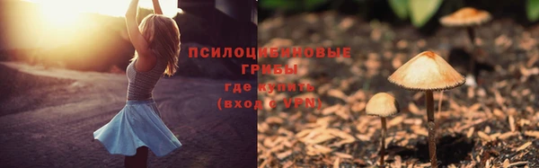 прущие крисы Абаза
