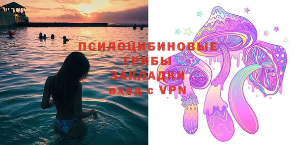 прущие крисы Абаза