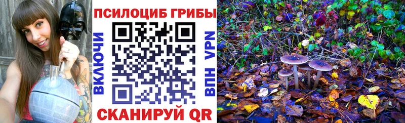 Псилоцибиновые грибы Psilocybine cubensis  Южа 